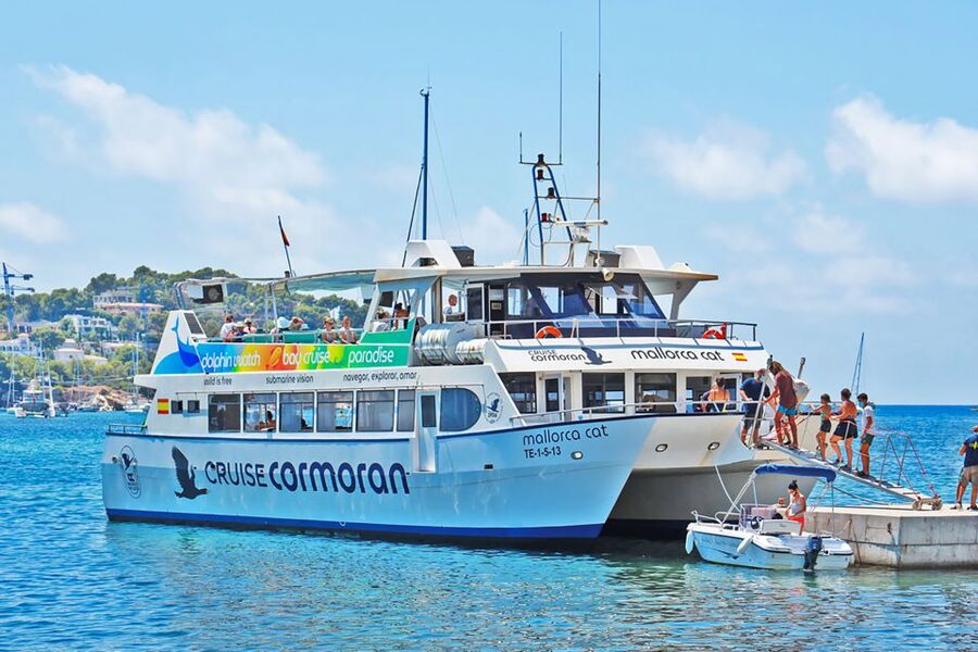 Mallorca: Dolphin Watching Cruise - Searching for Dolphins in Their Natural Home