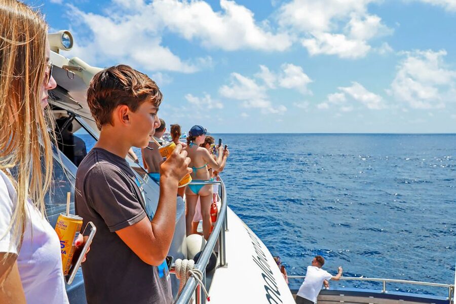 Mallorca: Dolphin Watching Cruise - How Good Is the Glass-Bottom Feature?