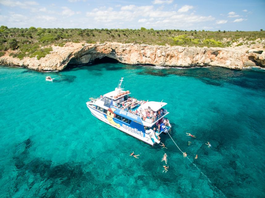 Mallorca: Glass-Bottom Catamaran Along the East Coast - What the glass-bottom viewing adds