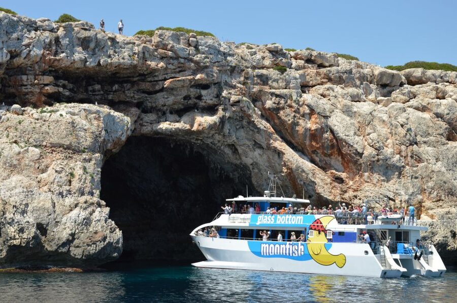 Mallorca: Glass-Bottom Catamaran Along the East Coast - Swimming: enjoyable, but not always calm