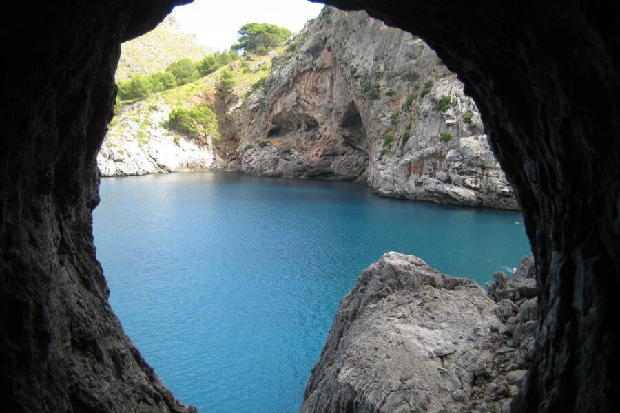 Mallorca: Island Tour with Boat, Train, and Hotel Transfer - Riding the vintage train from Palma to Sóller