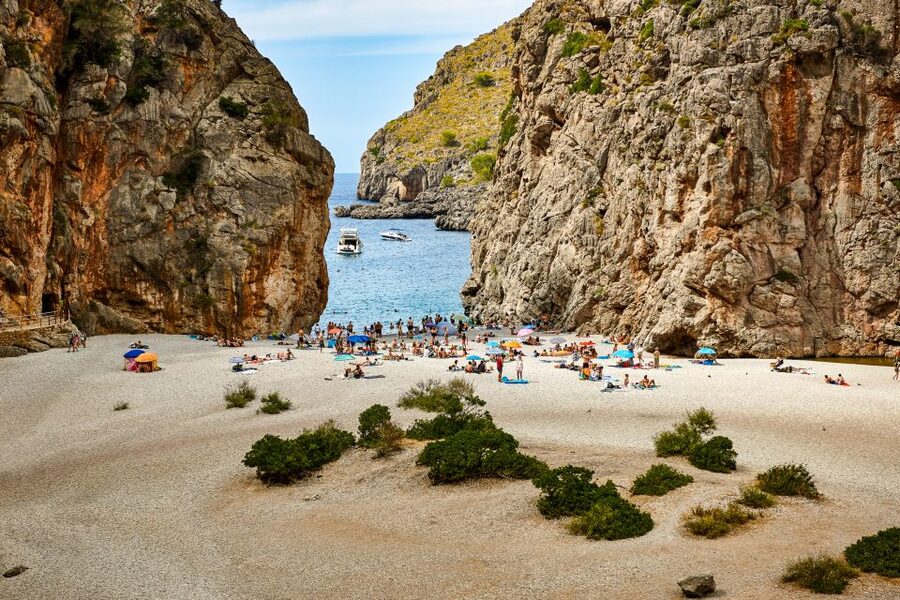 Mallorca: Island Trip by Train, Tramway, and Boat - Starting at Palma or Son Sardina