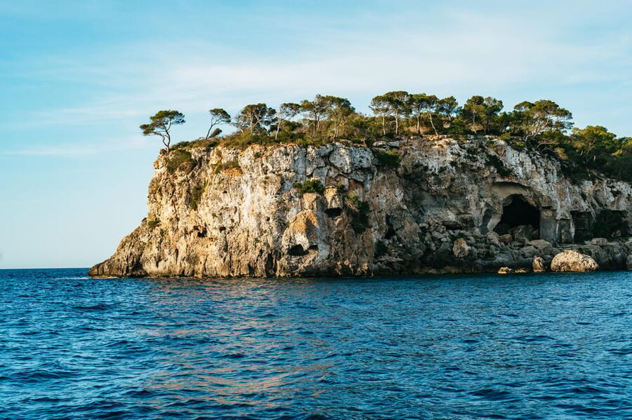 Mallorca: Midday or Sunset Sailing with Snacks and Open Bar - Should you book the Palma Bay yacht cruise?