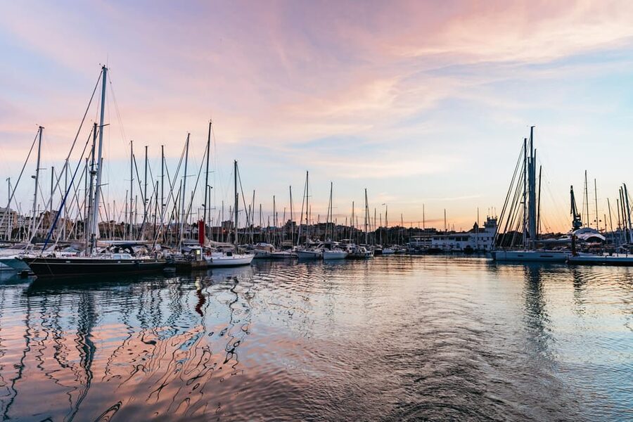 Mallorca: Midday or Sunset Sailing with Snacks and Open Bar - The first 90 minutes across Palma Bay