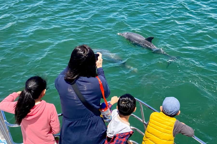 Mandurah: Dolphin and Views Cruise - Who should book this cruise?