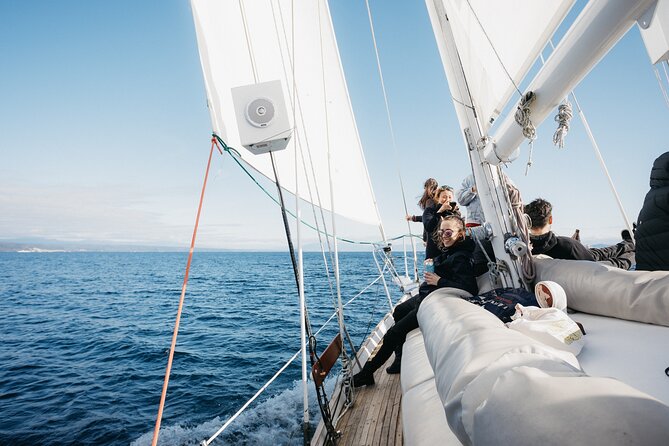 Maori Rock Carvings Eco Sailing Taupo - An eco-friendly boat with practical limits