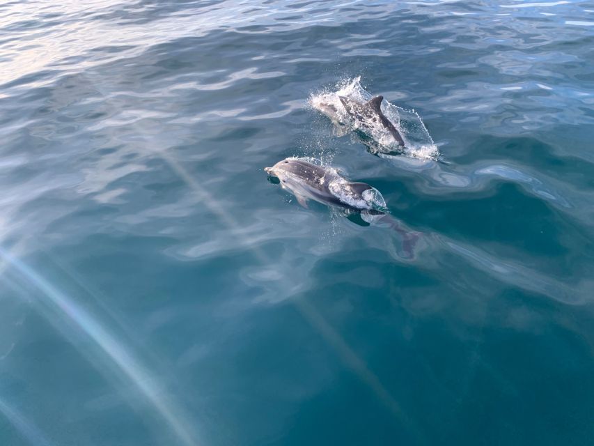Marbella: Sailing & Dolphin Watching with Snacks and Drinks - Captains Who Shape the Experience