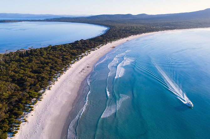 Maria Island Cruise and Guided Walk Day Tour with Lunch and Drinks - Four hours or more on Maria Island’s coastal waters