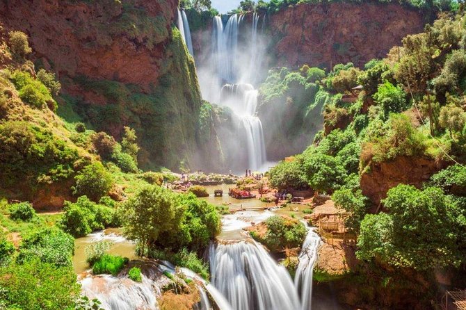 Marrakech: Ouzoud Waterfalls Guided Day Trip with Boat Ride - Barbary macaques and the reality of animal encounters
