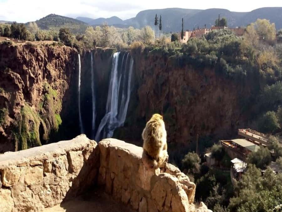 Marrakesh: Ouzoud Waterfalls Trip with Hike & Boat Option - Lunch beside the waterfall