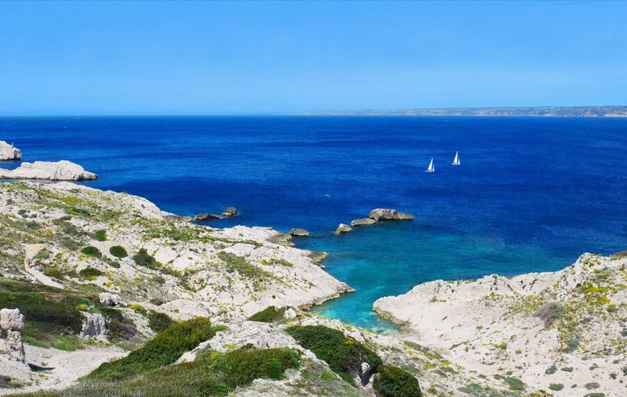 Marseille: Frioul Calanques Sailing Trip - Meeting the white TEAM WINDS yacht at Mucem