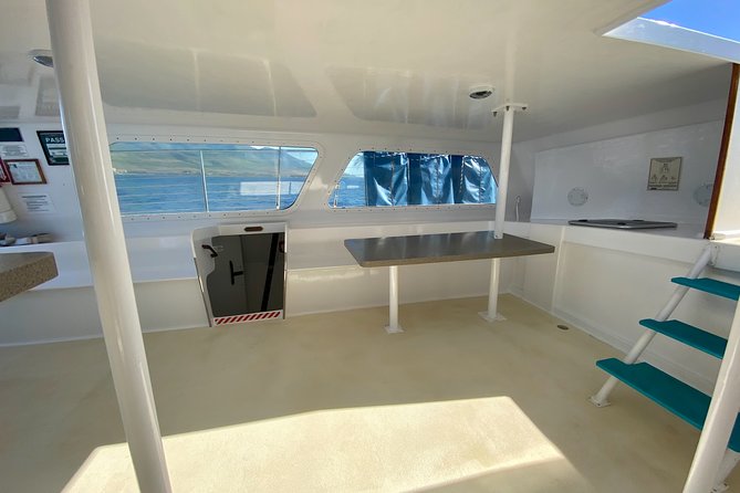 Maui Premium Sunset Dinner Cruise from Ka’anapali Beach - Winter whale watching can change the whole evening