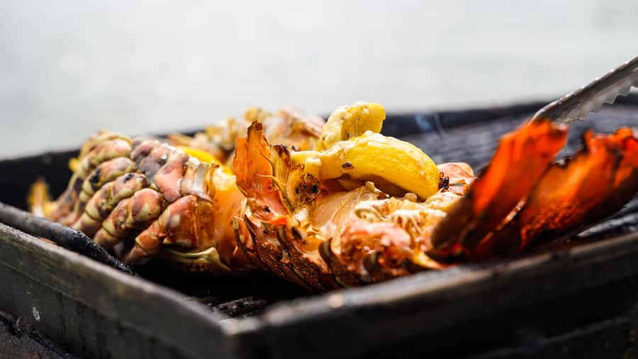 Mauritius: Catamaran Cruise to Ile Aux Cerfs with BBQ Lunch - Snorkeling and swimming along the coast