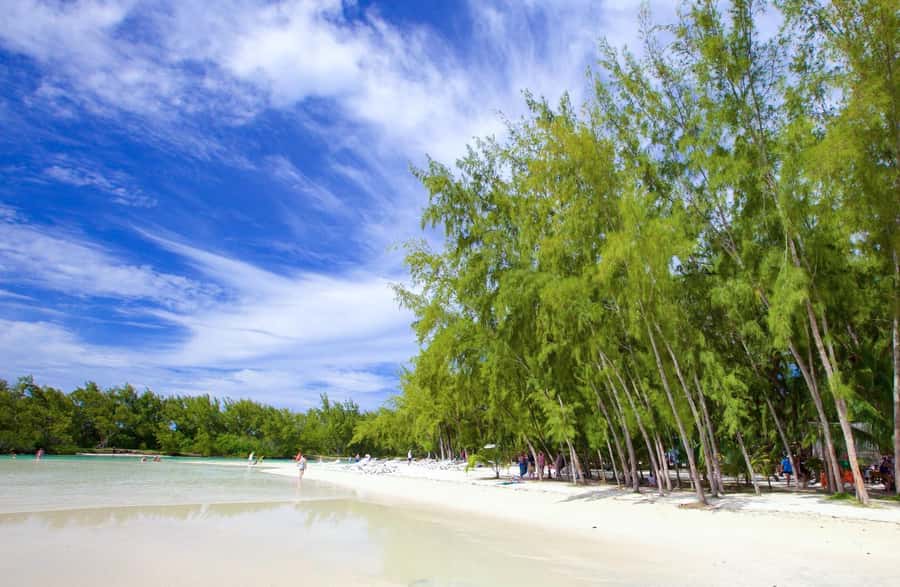 Mauritius: Catamaran Cruise to Ile Aux Cerfs with BBQ Lunch - Grand River South East Waterfall, or Cascade Diamamouve