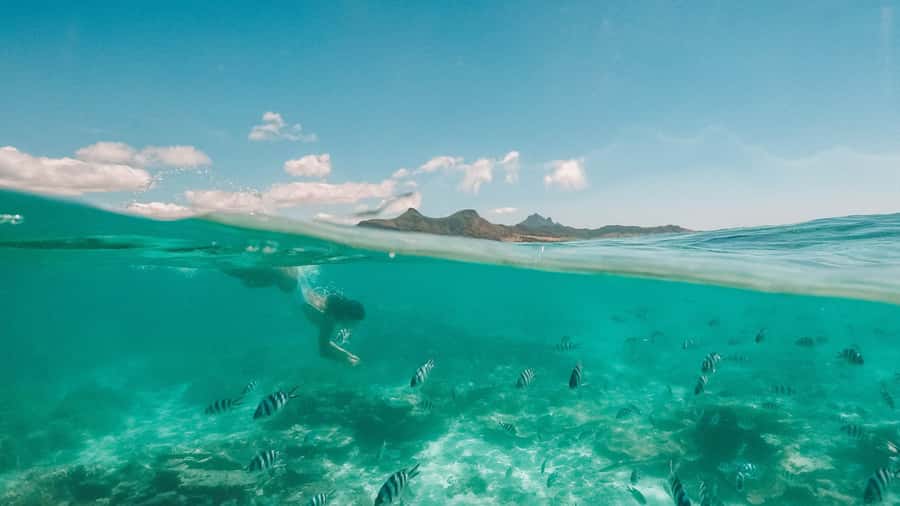 Mauritius: Full-Day Speedboat Tour to Ile aux Cerfs & BBQ - The 1902 shipwreck and Île aux Fouquets Lighthouse