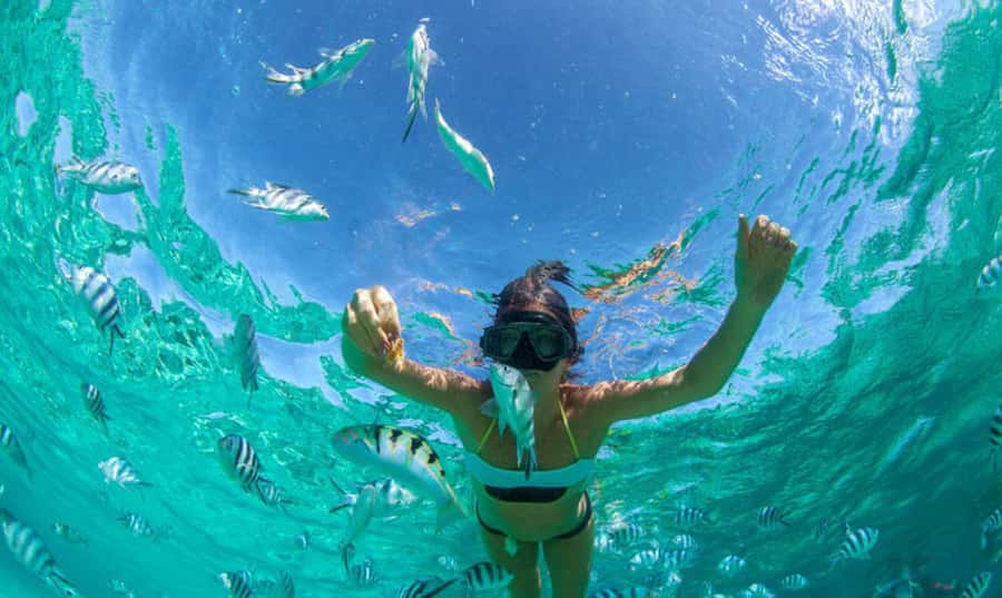 Mauritius: Ile Aux Cerfs Catamaran Trip w/ Lunch & Transfer - What makes the crew such a valuable part of the day