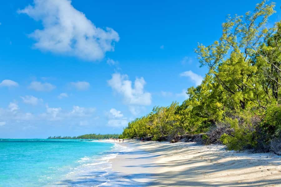 Mauritius: Ile Aux Cerfs Catamaran Trip w/ Lunch & Transfer - Sailing a 42-foot catamaran along the east coast