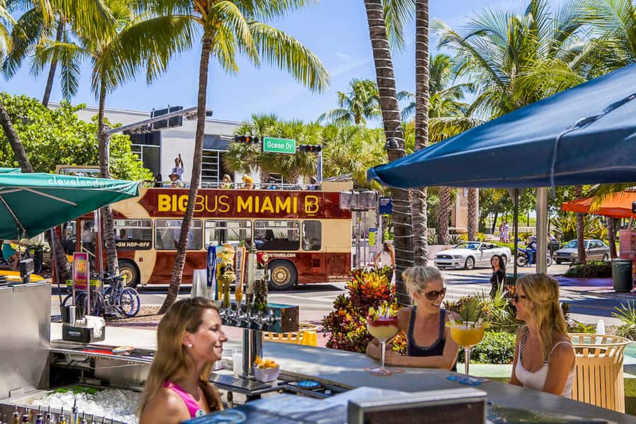 Miami: Everglades Experience, Bay Cruise & Open-Top Bus Tour - Key points at a glance