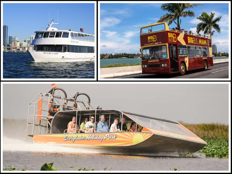 Miami: Everglades Experience, Bay Cruise & Open-Top Bus Tour - The Everglades: airboat, birds, and alligators