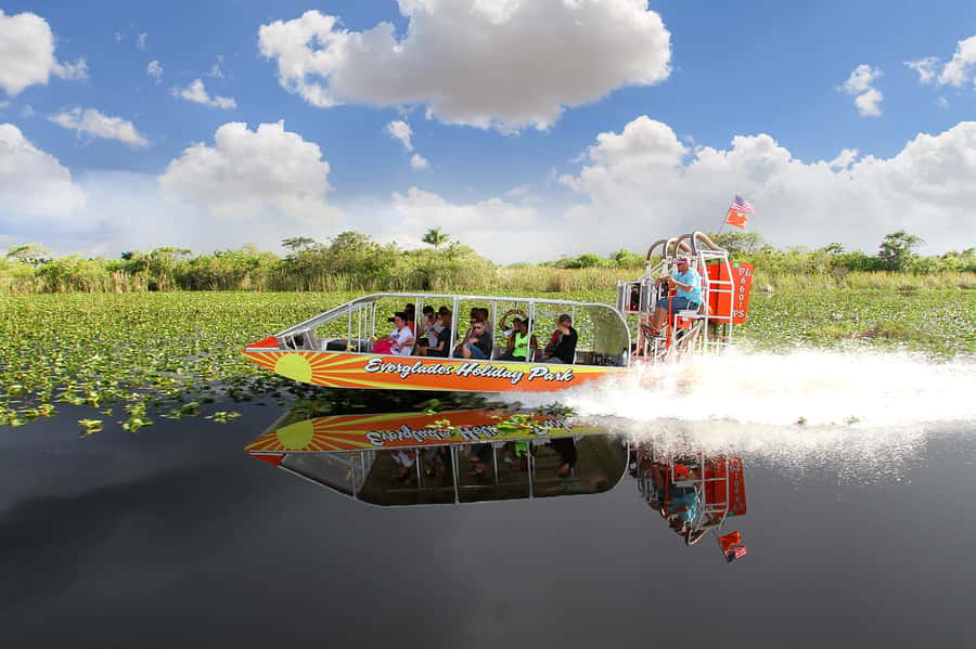 Miami: Everglades Experience, Bay Cruise & Open-Top Bus Tour - The open-top Miami bus route