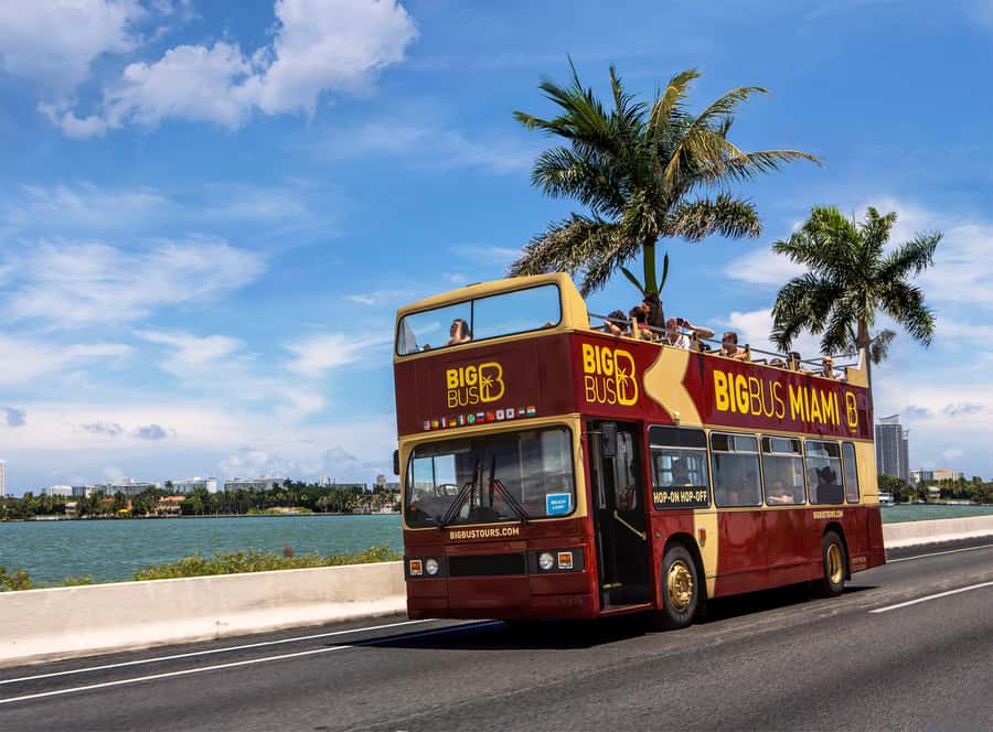Miami: Everglades Experience, Bay Cruise & Open-Top Bus Tour - Where the tour succeeds, and where it needs care