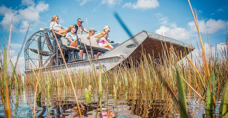 Miami: Everglades National Park Airboat Tour & Wildlife Show - What you can see in the marsh