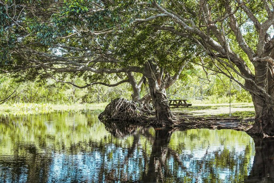 Miami: Everglades National Park Airboat Tour & Wildlife Show - What to bring and how to prepare