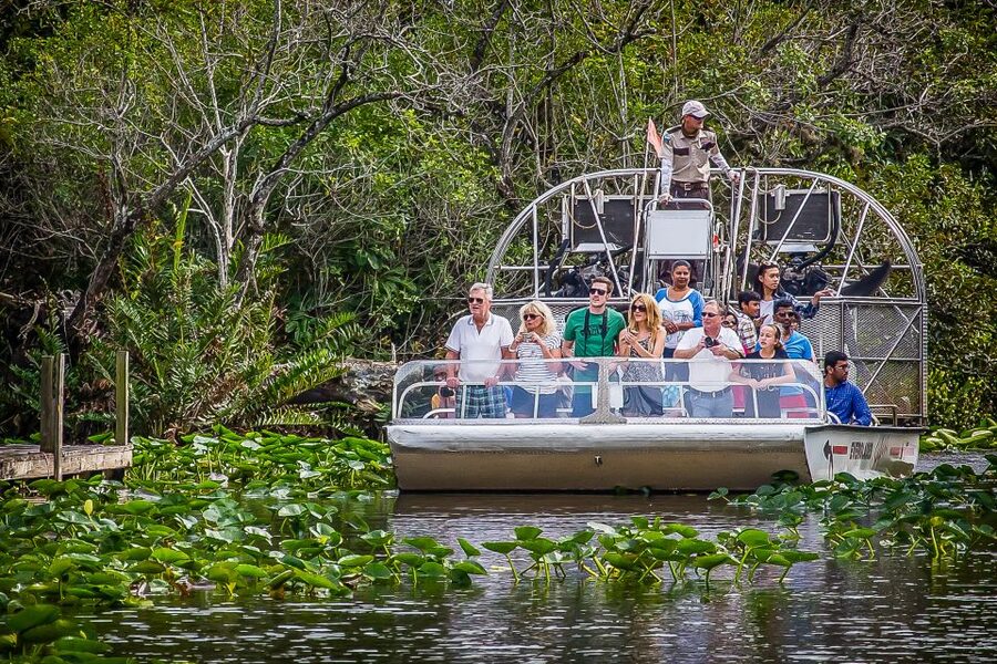 Miami: Everglades Safari Park Airboat Tour - My verdict: book it for a compact first taste