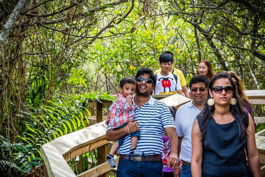 Miami: Everglades Safari Park Airboat Tour - Wildlife sightings depend on weather and luck