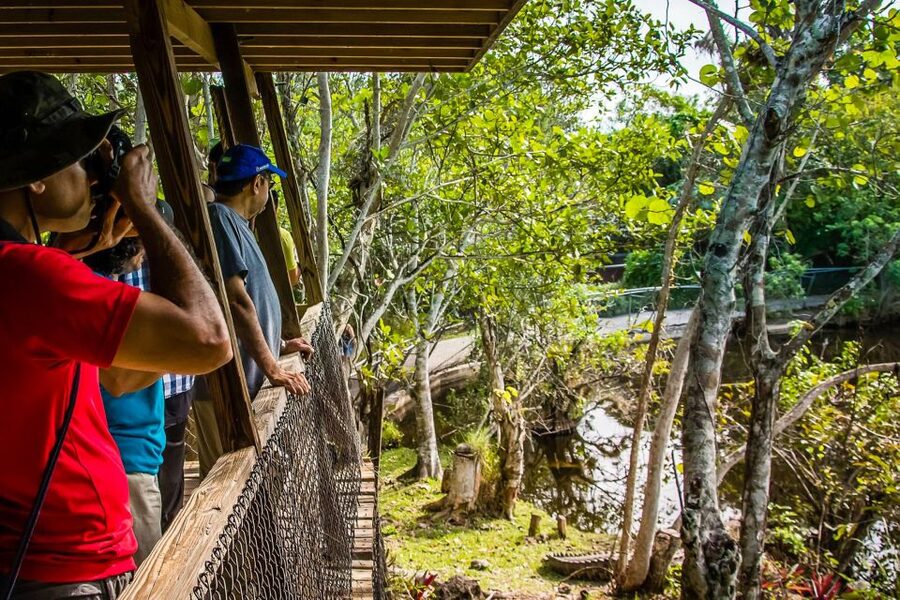 Miami: Everglades Safari Park Airboat Tour - Is $41 a fair price?