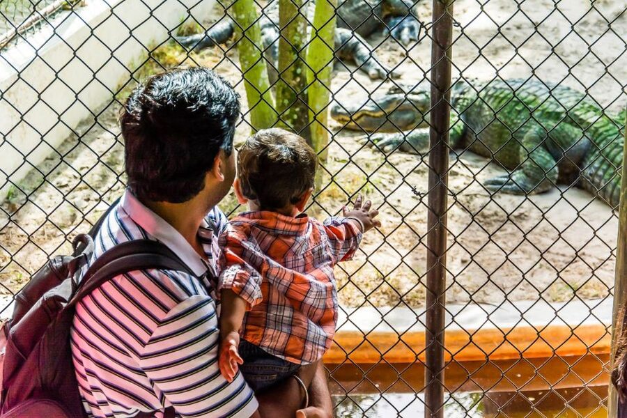 Miami: Everglades Safari Park Airboat Tour - The best time to visit