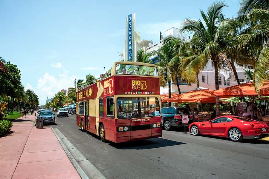 Miami: Hop-on Hop-off Open-top Bus Tour and Optional Cruise - Wynwood Walls and the Design District