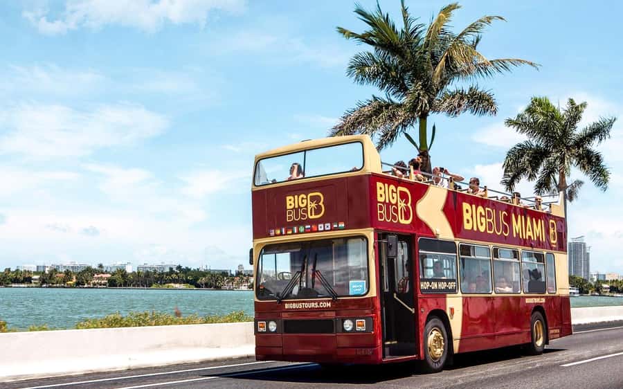 Miami: Hop-on Hop-off Open-top Bus Tour and Optional Cruise - Start at Bayside Marketplace and ride once without getting off