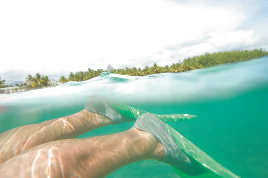 Miami: Key West Dolphin Watch or Snorkel Boat with pickup - Timing, comfort, and small practical lessons