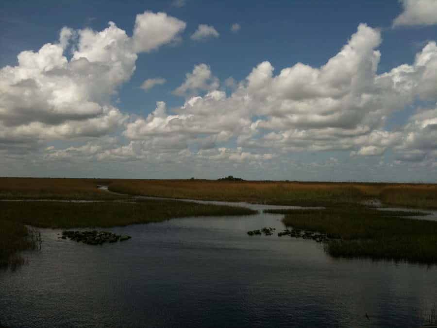 Miami: Original Everglades Airboat Tour & Interpretive area - What happens when you arrive