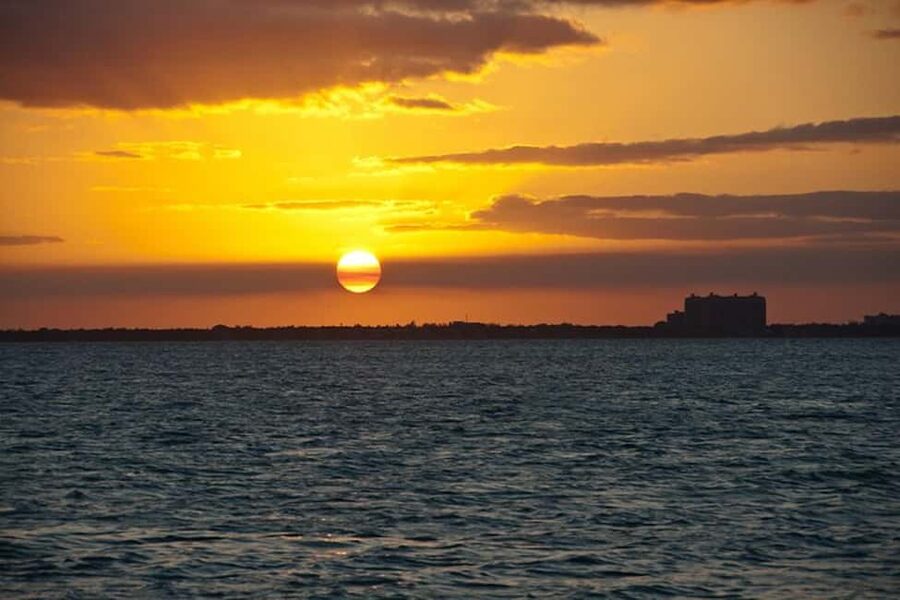 Miami Skyline Sightseeing Cruise and Millionaire Mansions - Why Miami is easier to understand from Biscayne Bay
