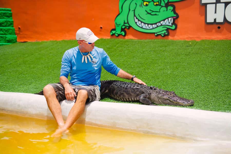 Miami: Wild Everglades Airboat Ride and Gator Encounters - Getting from Collins Avenue to the Everglades