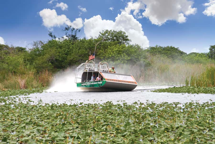 Miami: Wild Everglades Airboat Ride and Gator Encounters - The airboat ride through the marsh