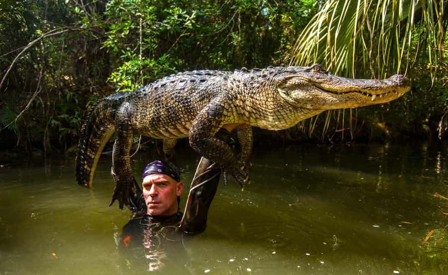 Miami: Wild Everglades Airboat Ride and Gator Encounters - Is $50 a fair price?