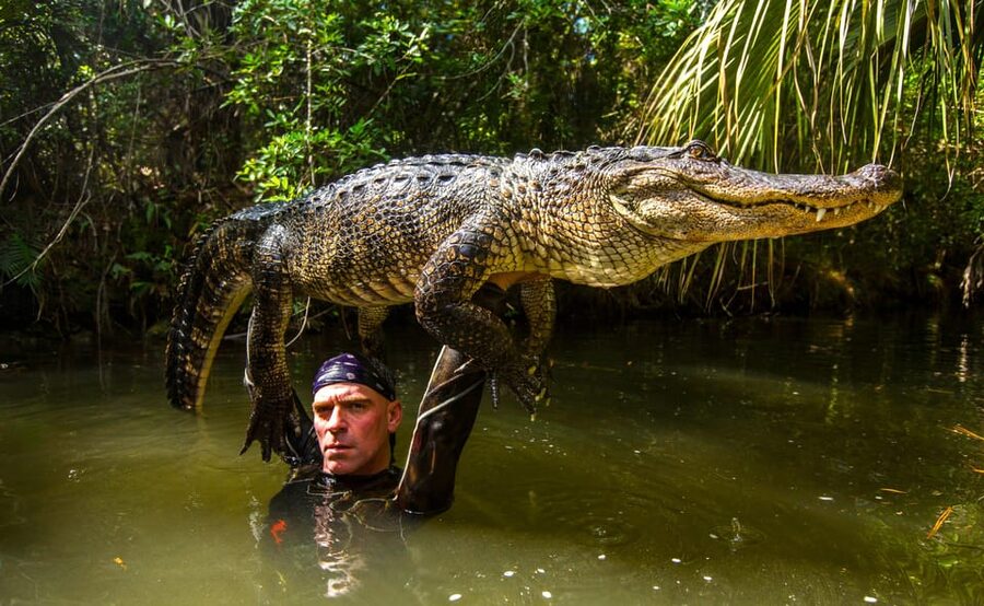 Miami: Wild Everglades Airboat Ride and Gator Encounters - Who will enjoy this outing most?