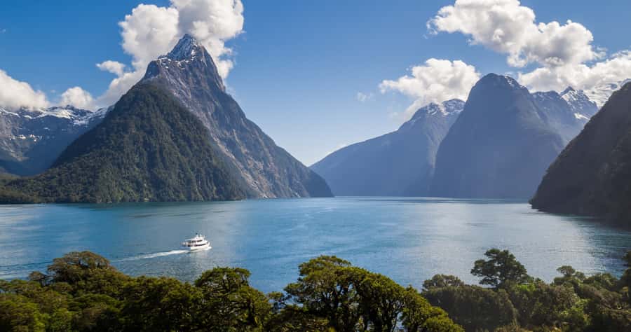 Milford Sound: Boutique Small-Boat Cruise - Wildlife depends on timing and luck