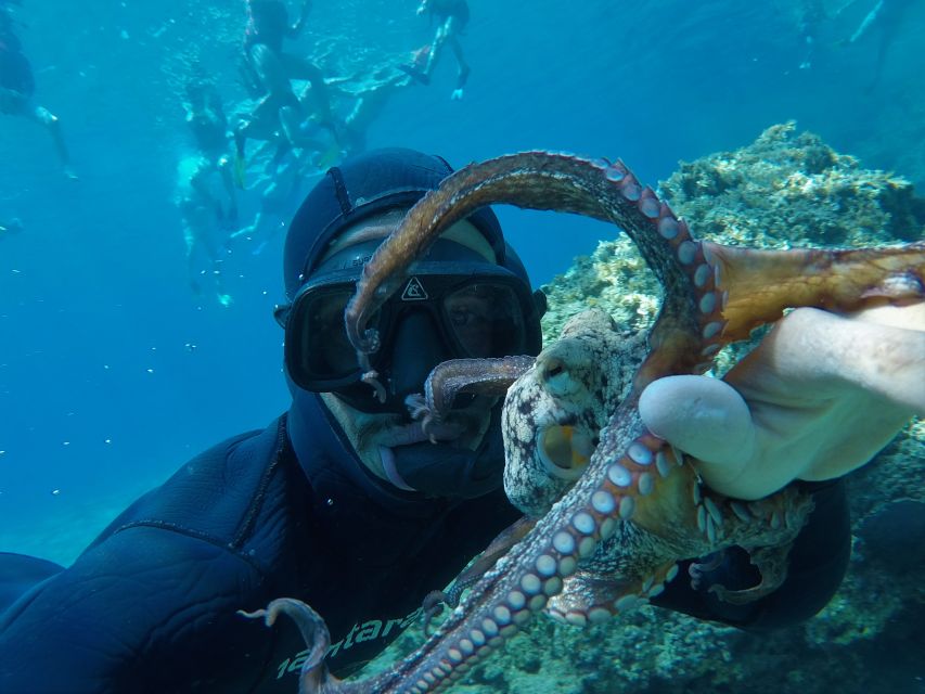 Milos: Half-Day Speedboat Cruise to Klefiko with Snorkeling - Sykia Cave and the captain’s weather call