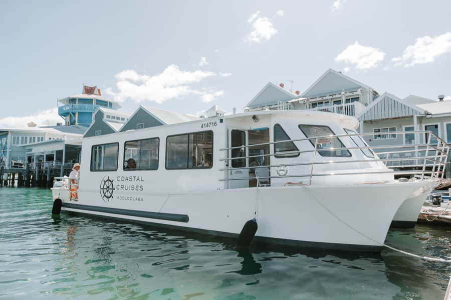 Mooloolaba: Seafood Lunch Cruise - Key points to know before booking