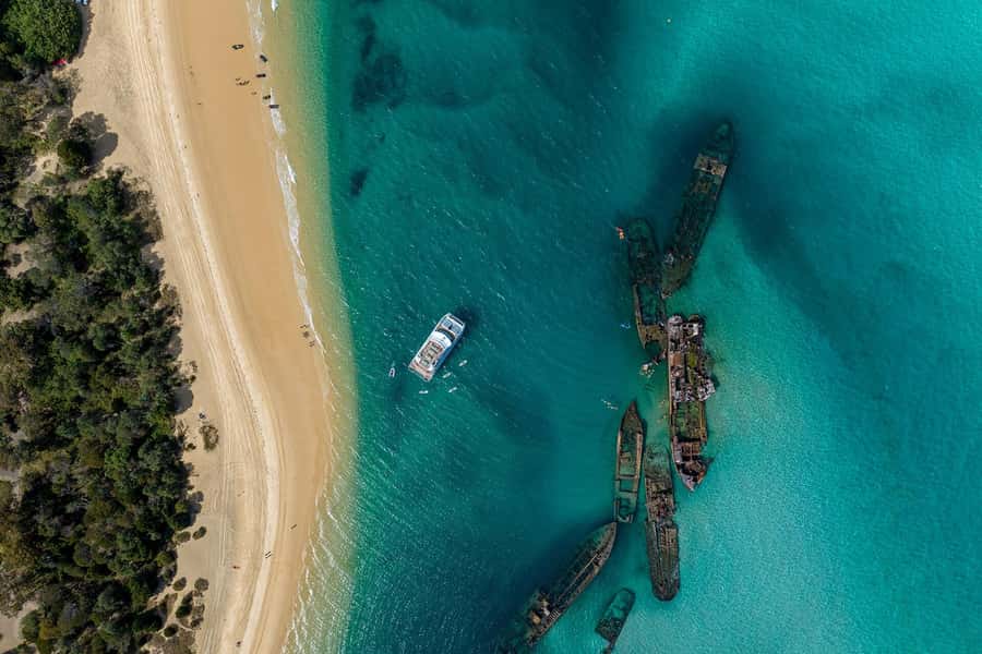 Moreton Island: Dolphin & Tangalooma Wrecks Snorkel Cruise - From Rivergate Marina to Moreton Bay