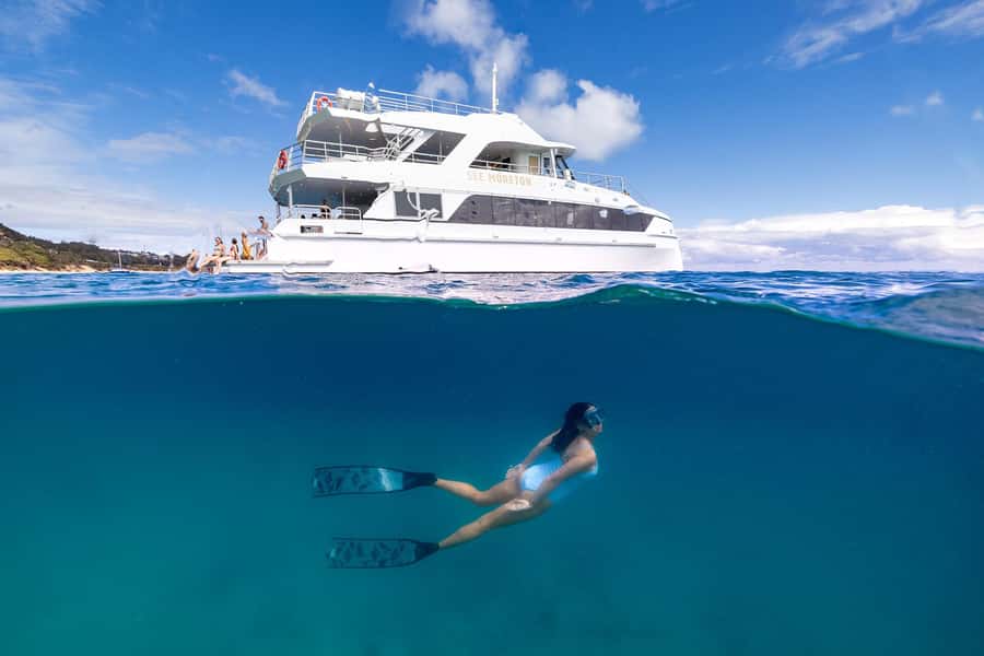 Moreton Island: Dolphin & Tangalooma Wrecks Snorkel Cruise - A good setup for first-time snorkelers