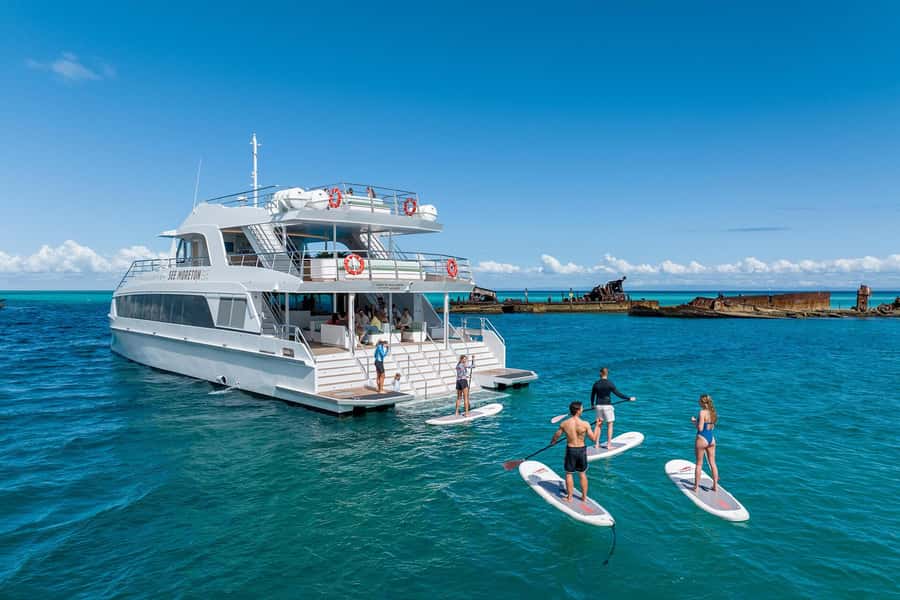 Moreton Island: Dolphin & Tangalooma Wrecks Snorkel Cruise - Who will enjoy this cruise most?
