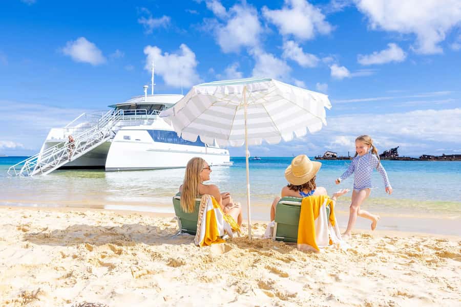 Moreton Island: Dolphin & Tangalooma Wrecks Snorkel Cruise - Why the Tangalooma Wrecks are worth your time