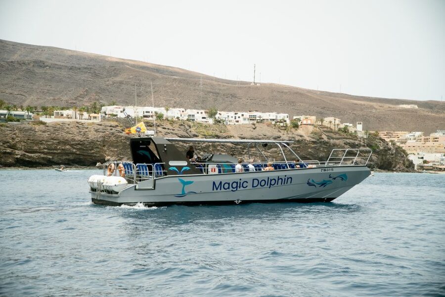 Morro Jable: Dolphin & Whale Watching Cruise, Drinks & Swim - Key things to know before booking