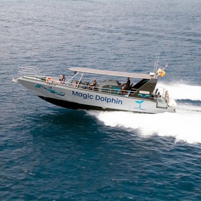 Morro Jable: Dolphin & Whale Watching Cruise, Drinks & Swim - Leaving Morro Jable on the Magic Dolphin