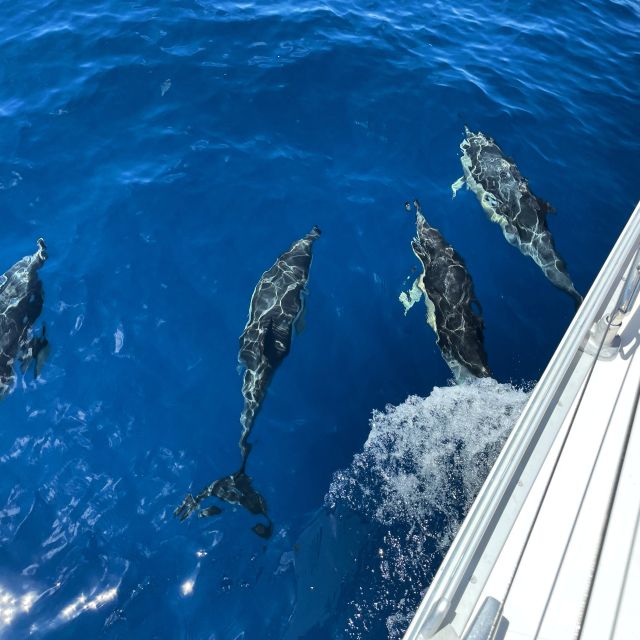 Morro Jable: Sailing Boat Excursion with Food and Drinks - Anchoring for a swim and snorkel